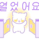 레이나플레르 이미지