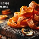 한국바이러스센터제주지사