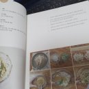 임선생 이미지