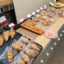 크로와상 테리 이미지