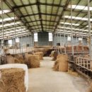 미소축사 이미지