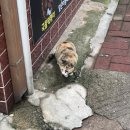 아라 모텔 | 울릉도 저동 가성비 숙소 아라호텔 온돌방 후기