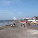 삼양해수욕장 이미지