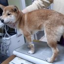 통샘 이미지