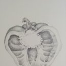 보태니컬 아트 초급 이미지