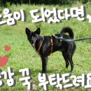 [알바일기/긴 글 주의] 학원 알바 후기, 그런데 이제 강사와 보조 경력 모두 다 얻어간,, / 원주시 학원...