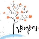 뉴파트너공인중개사사무소 이미지