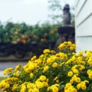 아라민박 이미지