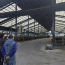 홍천축산 이미지