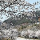 옥정호로 이미지