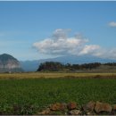 관상학&수상학 이미지