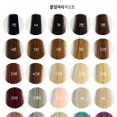 머리헤여