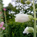 여수봉산초등학교 이미지