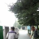 펫 게스트하우스 이미지