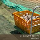을숙도 인라인경기장 | 15분도시 부산/ 을숙도체육공원리틀야구장