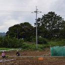 횡간경로당 이미지