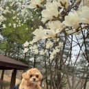 산책가개 이미지