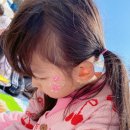 석정자원 | 광주 근교 아이와 가볼만한 곳 기다렸나봄 고창벚꽃축제 에어바운스까지 즐거운 체험이 가득했어요.