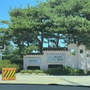 도그베이 | 강아지 수영장 물놀이 원더풀 도그베이 안성 후기