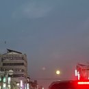 (주)투어일이삼 | 2022.12. 다또제(다하씨 또 제주)