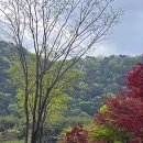 GS25태화강정원점 이미지