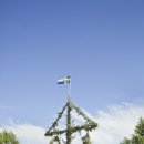 세계의 축제 · 기념일 백과 - 스웨덴 하지 축제[ Midsummer's day ] 이미지