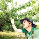 이순희농장 이미지