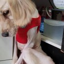 직전농장 이미지