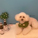 사랑옵개 이미지