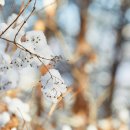 향남한의원 이미지