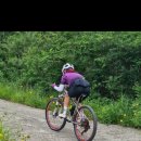 진식목장 이미지