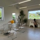 카페앨리스 이미지