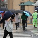 선선 이미지