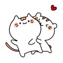 꽁냥파파