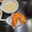 금빛코다리 이미지