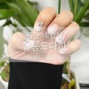 살롱드다한