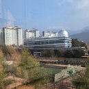 꿈나무도서관 | 국립대구과학관, 복합문화공간 꿈나무 도서관 다녀온 후기