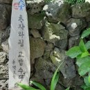 세화 동백그늘 이미지