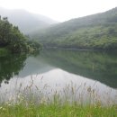 무릉농장 이미지