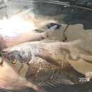 남해-318 이미지