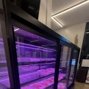 해놀이 | 용인 바베큐장 해밀리아 후기｜바베큐·노래방·놀이시설까지 올인원⭐️