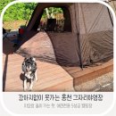 [홍천 애견캠핑장 추천] 견종 제한 없는 그자리야영장 솔직 후기 — 미요와 단둘이 다녀왔어요