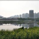 호수공원14로 이미지