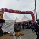 태능시장 특화거리 | [서천 가볼만한곳] 서천 쭈꾸미 축제 즐기고 서천 특화시장에서 즐기는 제철 서천 쭈꾸미 샤브샤브