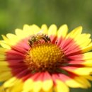 한강시민공원(자연학습장) 이미지