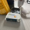 (주)에프더블유씨스포츠센터 | 25년 10월 첫째주 일상