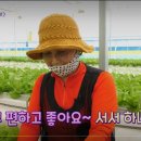 일신팜 이미지