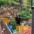 이한농장 이미지