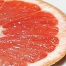 그레이프플릇(Grapefruit) 이미지