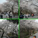 아름다운꽃나라 이미지